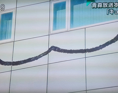 看起來毛毛的《蒼樹梅展in青森》超巨大QB等妳簽約成為魔法少女……