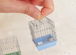 極度可愛《迷你小物》這小鳥籠也太萌~裡面還有小小鳥呢(心) 極度可愛《迷你小物》這小鳥籠也太萌~裡面還有小小鳥呢(心)