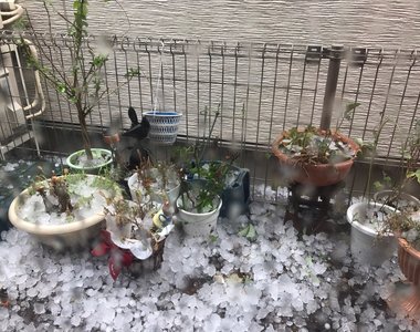 《東京午後狂下巨大冰雹》夾雜狂風打雷還以為要世界末日了...