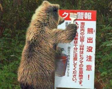 《創意熊出沒注意》在加拿大這方面的名產應該很好買吧？