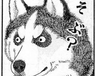 推特關鍵字《非洲咒術師》漆原教授形象深植人心