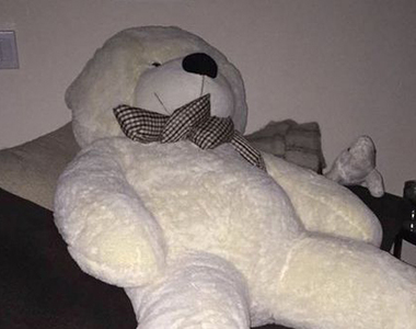  崩潰《出乎意料的網購熊娃娃》圖文不符嚇到人該如何處理？