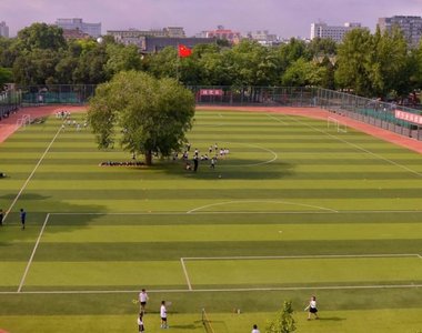 《足球場正中央的大樹》大樹表示這裡我先來的