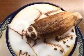 高超功力的《仿真咖啡拉花》不能只有我看到阿