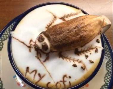 高超功力的《仿真咖啡拉花》不能只有我看到阿