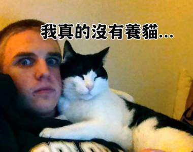 《這不是我的貓》這不就表示該收編了嗎?(笑)