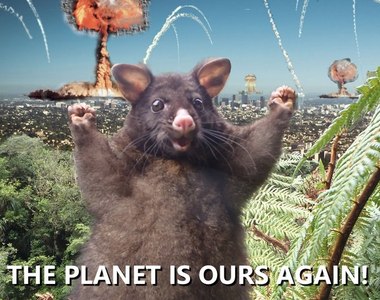 《勝利袋貂》彷彿舉手歡呼的模樣引起PS改圖大賽啦www