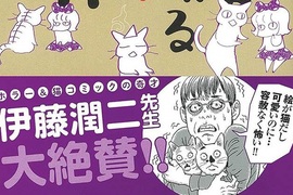 伊藤潤二推薦《貓語怪異》可愛與驚悚兼具的怪談ΦωΦ 伊藤潤二推薦《貓語怪異》可愛與驚悚兼具的怪談ΦωΦ