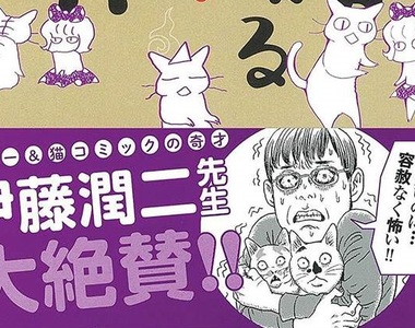 伊藤潤二推薦《貓語怪異》可愛與驚悚兼具的怪談ΦωΦ