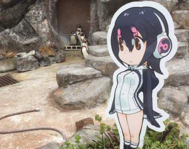 宅宅擠爆《動物朋友與東武動物公園合作企劃》動物們也對這些朋友很好奇……