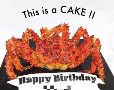 這真的是蛋糕★《超狂蛋糕師鈴木恵》巧手創造不可思議的翻糖藝術