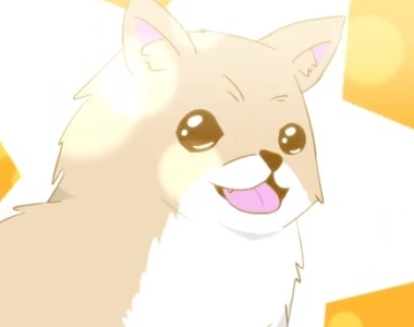 《想看大塚明夫配音的博美狗》網友超強腦洞接力竟然誕生出了動畫