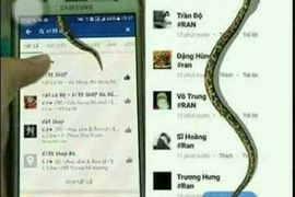 新FB彩蛋？《我的FB上有蛇》輸入關鍵字就可以看到蛇在你臉書上爬