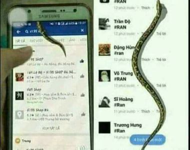 新FB彩蛋?《我的FB上有蛇》輸入關鍵字就可以看到蛇在你臉書上爬