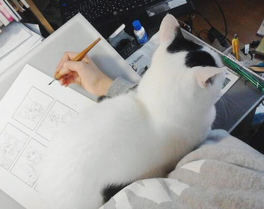 《貓咪色保健室》家裡的貓前輩帶給作者源源不絕的靈感♡