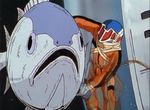 內行人才懂的《鮪魚生魚片挑選法》看準筋目才不會當冤大頭…… 內行人才懂的《鮪魚生魚片挑選法》看準筋目才不會當冤大頭……
