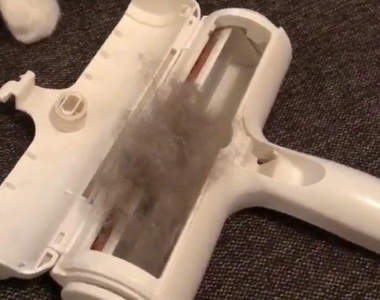 毛孩父母必見《除毛神器》看似一般的滾筒黏把但威力完全超乎想像...