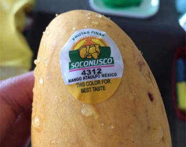 《來自人性的創意設計》趴兔 以圖示意是最簡單的方法ww