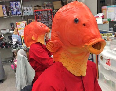 《玩具公司員工培訓的詭異畫面》有趣到大家都想到這裡上班啊XD