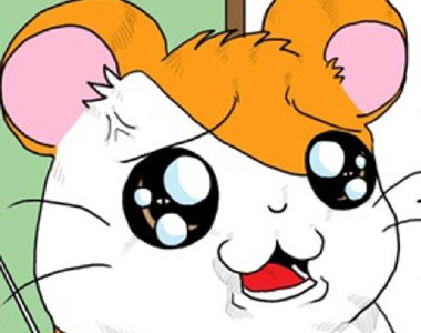 推特爆紅影片《台灣人超瘋哈姆太郎主題曲》從不知道這首歌可以這麼High……