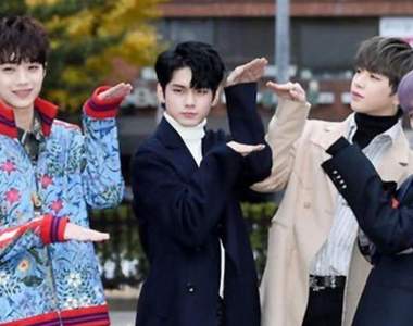 莫非在練鶴拳?《為什麼男藝人一直擺謎樣姿勢拍照》原來這動作背後竟然是...求愛?