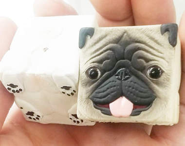 《箱箱巴哥犬》正方型的臉蛋外加屁屁真可愛