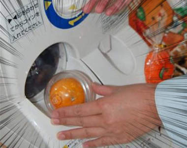 不只水龍頭流出橘子汁《扭蛋轉出整顆蜜柑》完全的愛媛魂炸裂ww