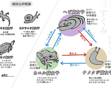《腐女生態鏈》四格漫畫 踩到雷就像蛞蝓被撒鹽(瞬間脫水而死)