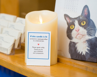 《歐美獸醫院的貼心舉動》點蠟燭表示裏頭有人正在跟寵物做最後的道別...