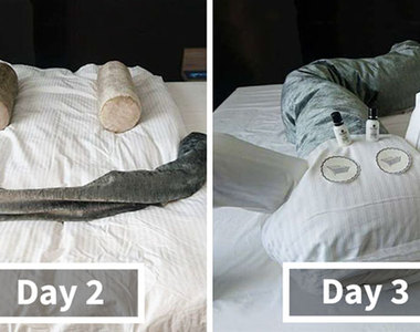 出差的樂趣《旅客留給房務人員的創意挑戰》在他們之間嗅到浪漫的氣氛...