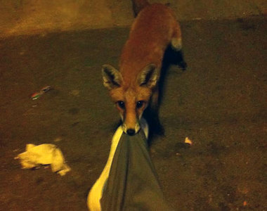 《起床就看到這畫面》昨天晚上到底發生什麼事☉_☉?