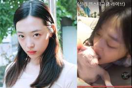 《雪莉突直播咬貓》看樣子是要繼續任性下去了...