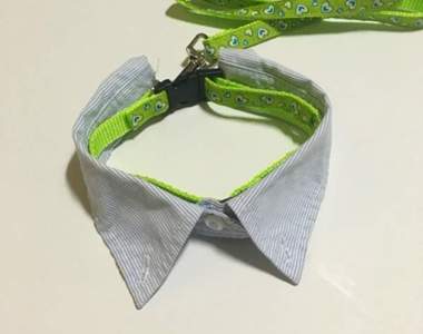 活用衣服DIY《假領項圈》想省錢的毛爸毛媽往這看