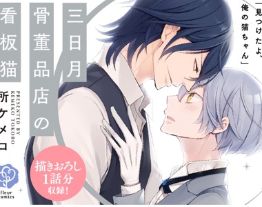 溺愛系BL《三日月骨董品店的看板貓》「寵愛屬於我的異色瞳小貓咪♡」