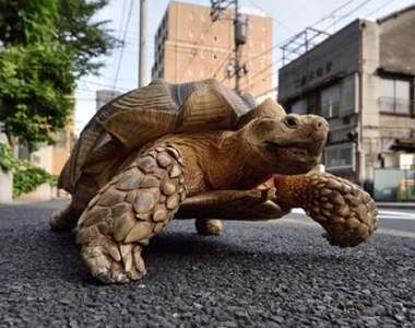 《讓人目瞪口呆的分手原因》只因為走的慢就被甩了......