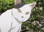 動物差別待遇話題《動畫殺貓為什麼會反感》換成殺魚就完全無感了…… 動物差別待遇話題《動畫殺貓為什麼會反感》換成殺魚就完全無感了……