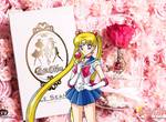 LeSean x Sailor Moon《美少女戰士永生花聯名合作》美得讓人收藏一整套啊 LeSean x Sailor Moon《美少女戰士永生花聯名合作》美得讓人收藏一整套啊
