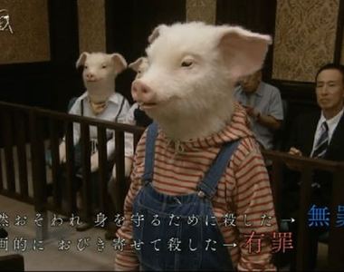 《2016人氣精選文》這排行榜中你對哪一則印象最深呢？