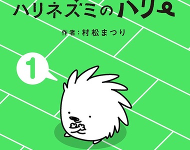 要來一個擁抱嗎？《刺蝟哈利》和愉快夥伴們的歡樂日常