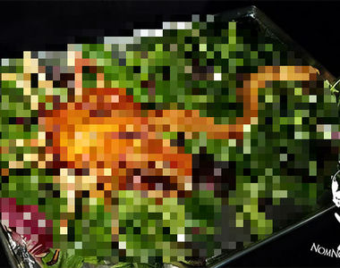 感恩節變成黑暗料理對決《絕對不敢吃的異形感恩節大餐》還沒吃就想吐一波先......