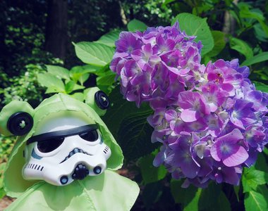 激萌星際大戰《穿著青蛙雨衣的機動步兵》稀哩稀哩嘩啦嘩啦雨下來了♪