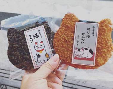 推特話題《貓仙貝》日本老舖仙貝店也發現大量喵星人入侵❤