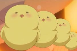 萬人守候《小雞孵化網路直播》無法破蛋而出好傷心……