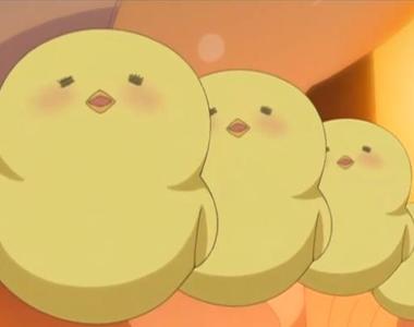 萬人守候《小雞孵化網路直播》無法破蛋而出好傷心……