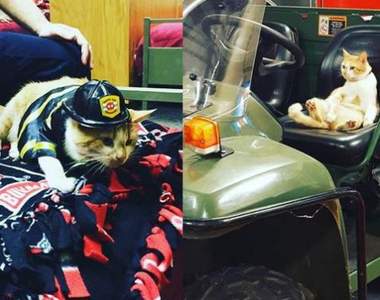 《最厭世的消防員》但為了罐罐只好折腰了(笑)