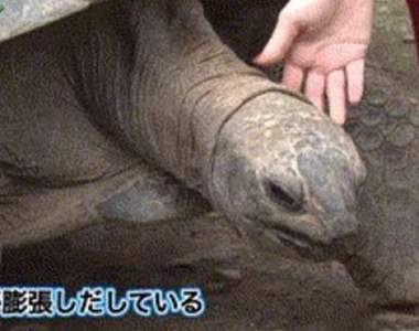 2ch興奮討論《日本可愛女主播很會摸龜頭》越摸越粗越摸越長...