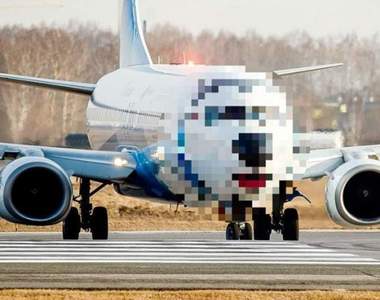 從正面看絕對歡樂的《NordStar哈士奇飛機》月月你怎麼飛上天了ww