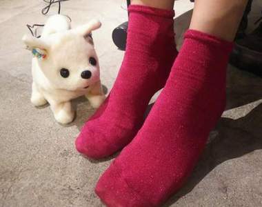 《氣味偵測狗》如果你腳臭那麼小花就會立馬GG給你看XD