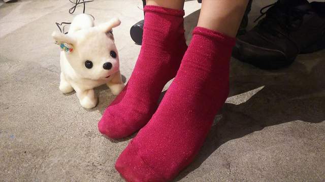 圖片1 圖片1