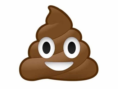 拿大便去典當《當舖收過的奇怪典當物》這大便還是貓王的大便欸......